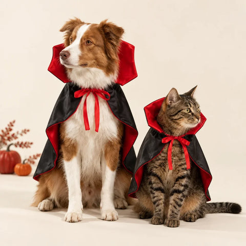 Dog and cat naturally playing together while wearing matching PetJoy vampire capes