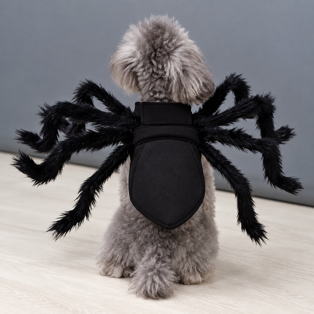Funny Spider Costume for Cats & Dogs
