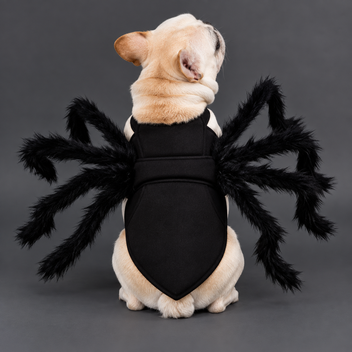 Funny Spider Costume for Cats & Dogs