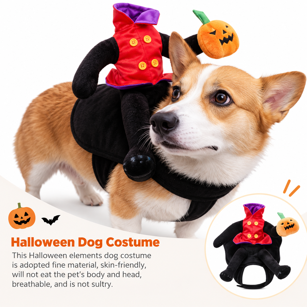 Pumpkin Rider Costume for Cats & Dogs