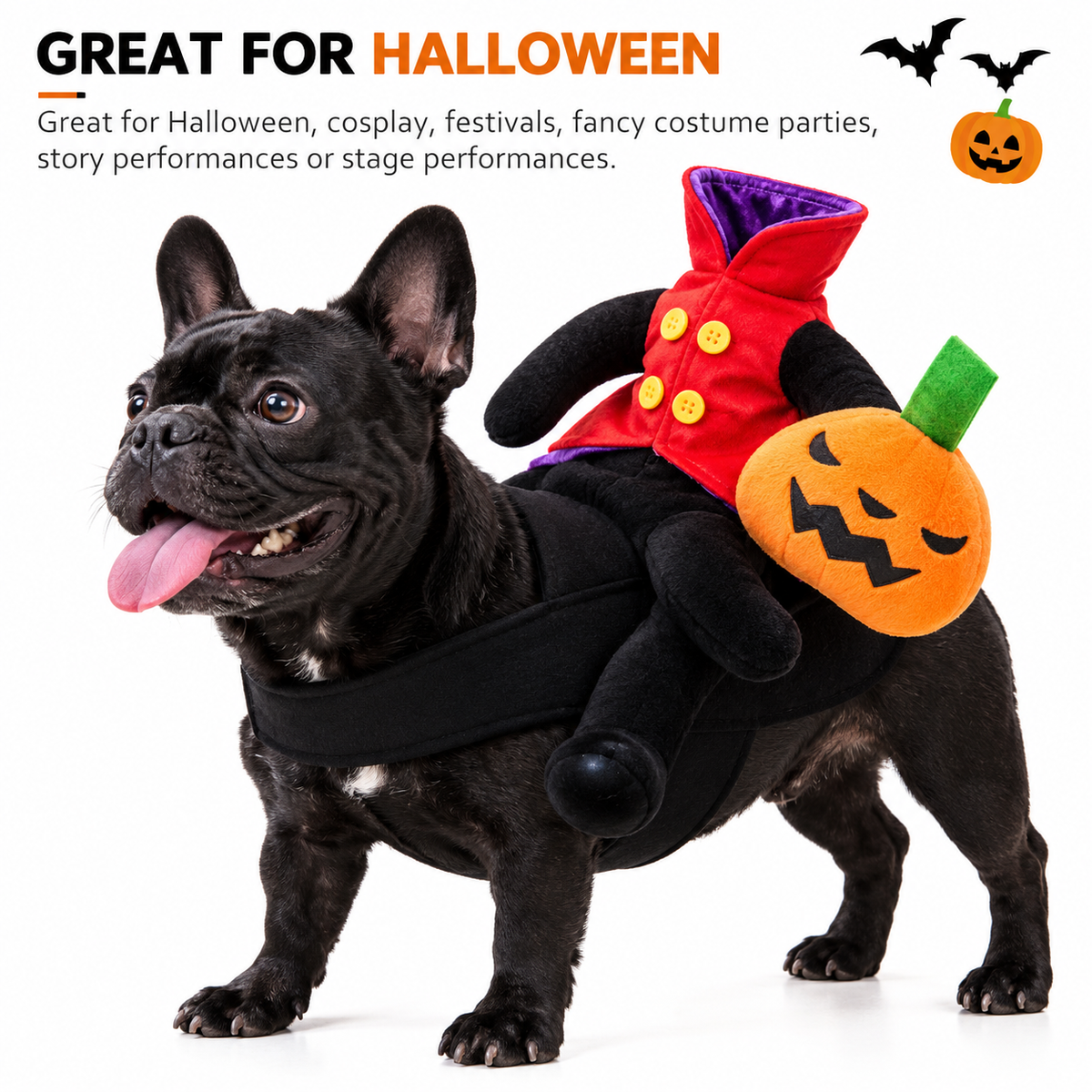 Pumpkin Rider Costume for Cats & Dogs