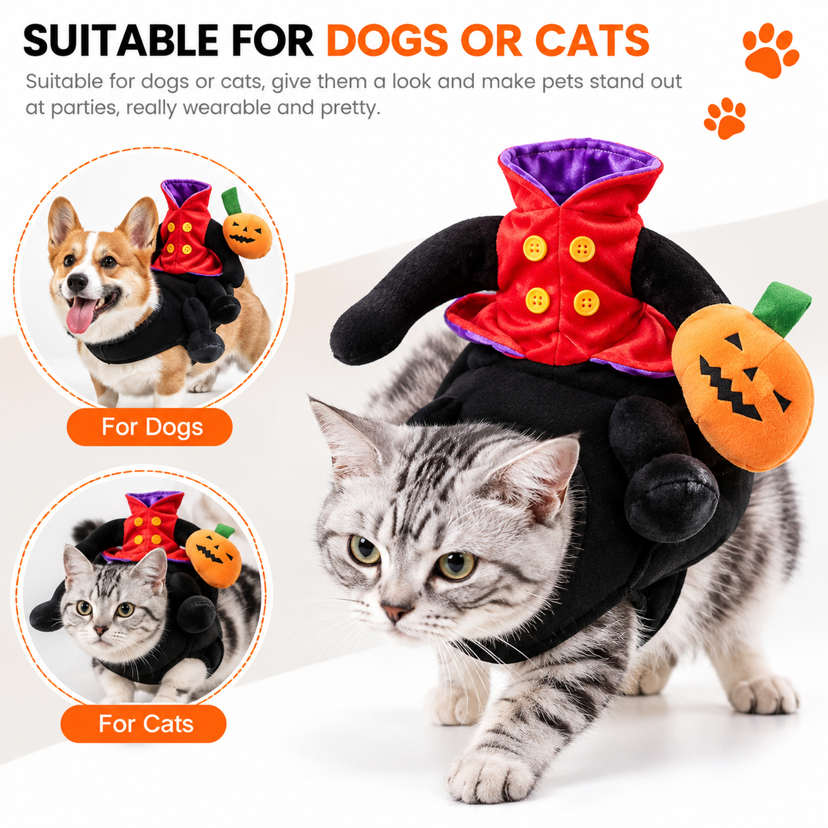 Pumpkin Rider Costume for Cats & Dogs