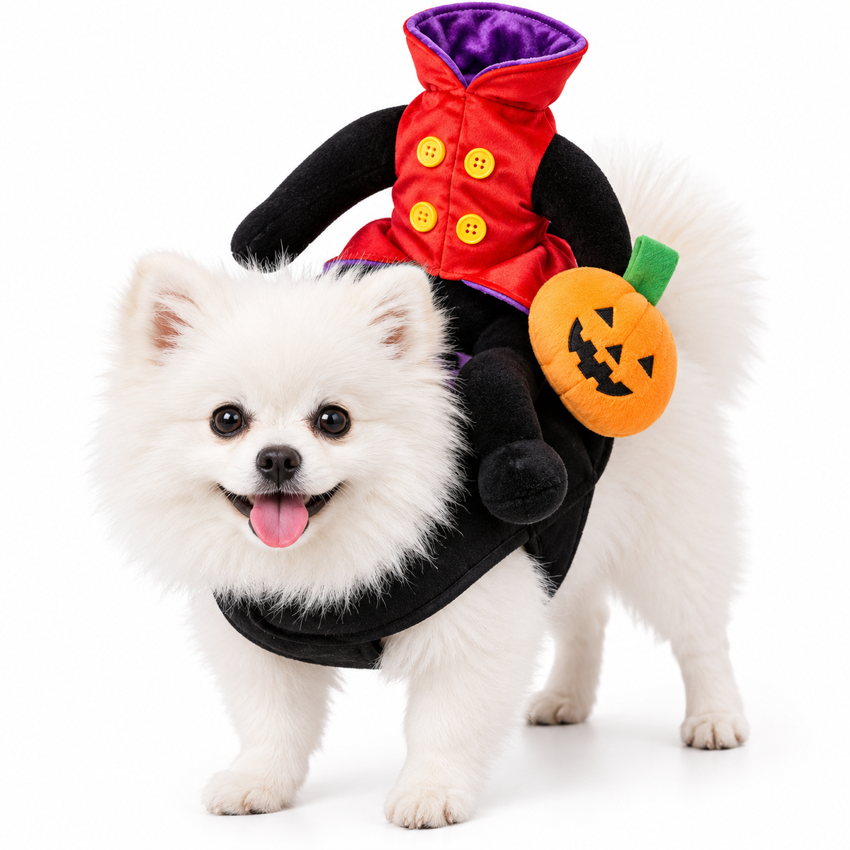 Pumpkin Rider Costume for Cats & Dogs