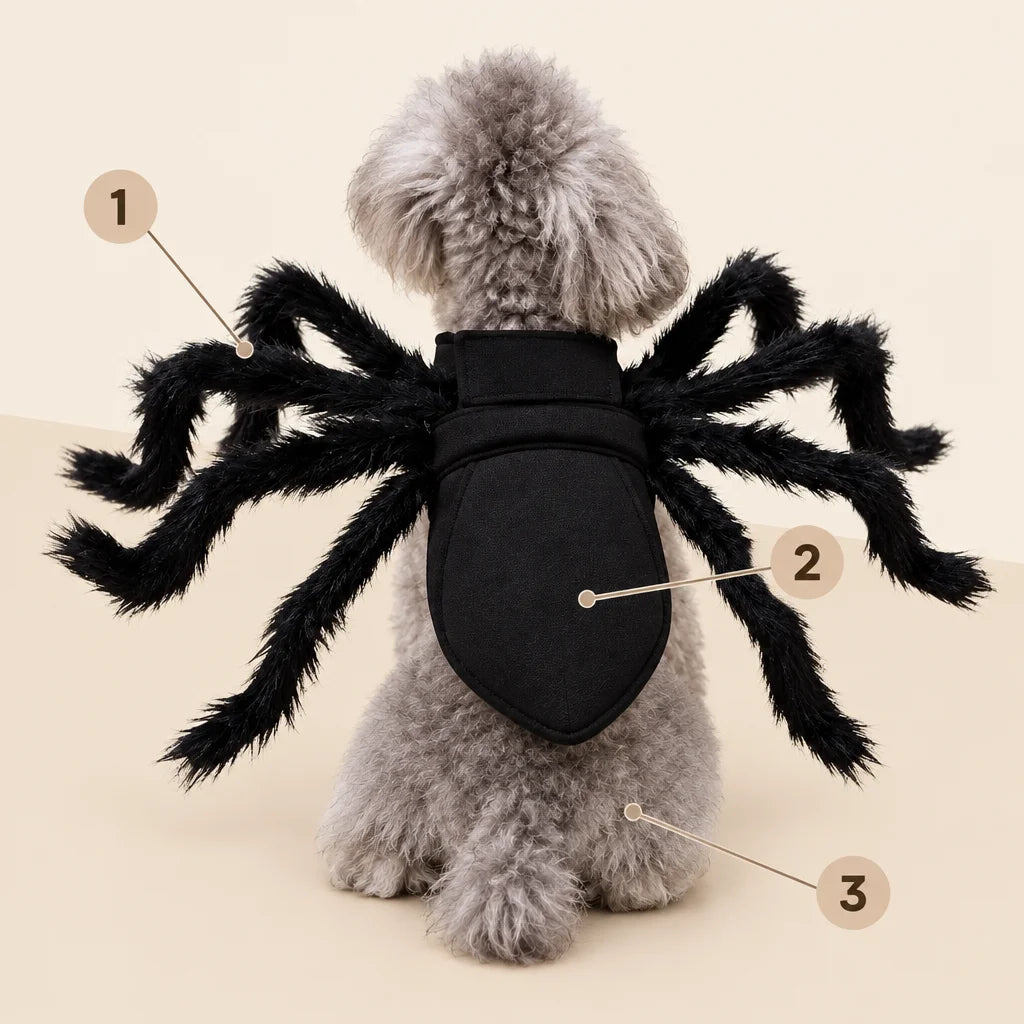 The exact black spider costume from ref r22 is the subject, shown large from a slightly elevated rea